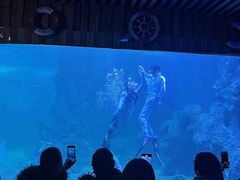 -左海海底世界