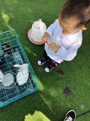 -萌宠亲子动物乐园(槐房万达店)