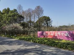 -上海海湾国家森林公园