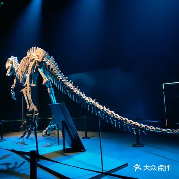 第一次看这么逼真制作这么好的电影特展，在霸王龙出来打