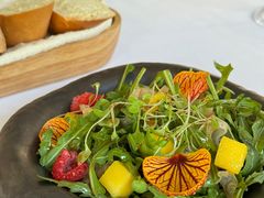 -蝶舍·MAISON PAPILLON