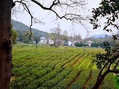 -灵顺寺