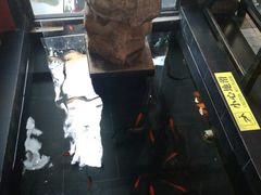 -旅马餐厅(茅家埠店)