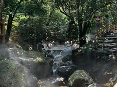 -牛鱼嘴原始生态风景区