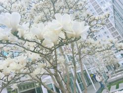 -Yue Show馨选·半永久纹眉纹眼线