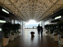 -香港皇家太平洋酒店