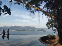 -大埔公路-马料水段香港中文大学(公交站)