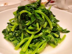 五粮液嫩豆苗-玫瑰厅上海菜(兴国路店)
