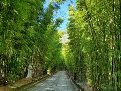 -蝴蝶泉公园