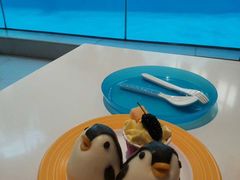 -帝企鹅自助餐厅•儿童岛•真企鹅(长隆企鹅酒店)