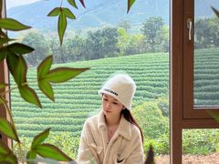 -白茶原·一片叶子