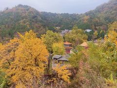 -遵化市禅林寺古银杏风景园