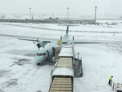 -蒙特利尔皮埃尔·埃利奥特·特鲁多国际机场