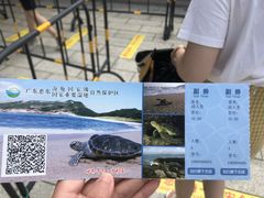 -广东惠东海龟国家级自然保护区