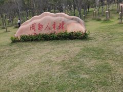 -牛岗山公园