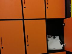 -203密室逃脱体验馆·聚会·亲子·团建(中关村店)