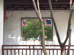 -秋霞圃