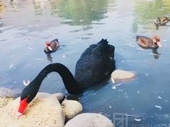 -新疆天山野生动物园