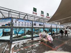 -青藏高原野生动物园