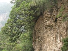 -北京上方山国家森林公园