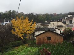 -塔川景区