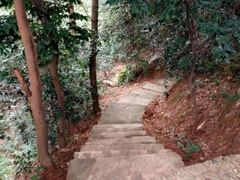 android_upload_pic-樱桃山旅游景区