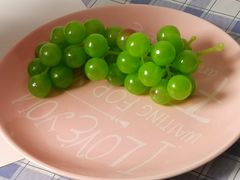 -红瓜子 影视后期 摄影摄像设计 新媒体运营技能培训(宝安校区)