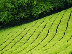 -敬亭山风景名胜区