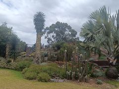 -墨尔本皇家植物园