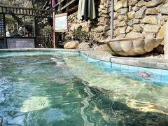 -宁海森林温泉