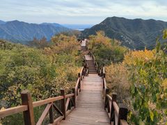 -大岭沟猕猴桃谷风景区