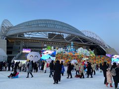 -沈阳奥体冰雪嘉年华