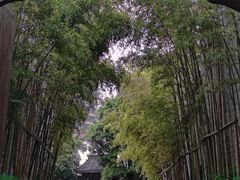 -龙潭水乡