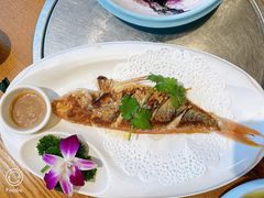 -琼菜王(南海店)