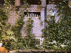 -The Flowers Coffee(南山店)