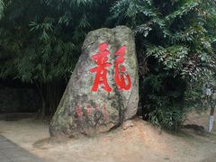 -分塔山省级森林公园