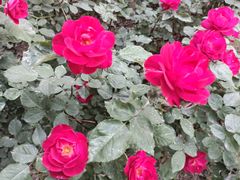 -元大都城垣遗址公园