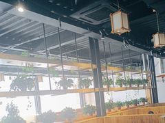 -桃源村铁锅炖鱼(体育馆道店)