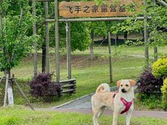 -苏州湾体育公园