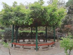 -泰山风景名胜区-普照寺