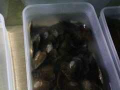 -福州罗源湾海洋世界旅游区