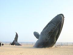 -烟台金沙滩海滨公园
