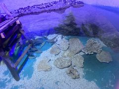 -长春中泰海洋世界