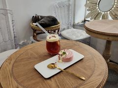 -共舞时光猫咖·狗咖(新街口店)
