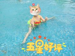 -重庆海昌加勒比海水世界