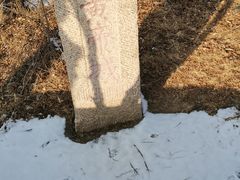 -中华三祖圣地黄帝城遗址文化旅游区