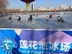 -莲花池公园