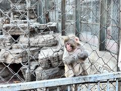 -北宫国家森林公园