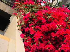 -东方宫中国兰州牛肉拉面(厦门旗舰店)