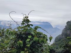 -蝶舞清江·恩施云顶景区(黄鹤峰林)